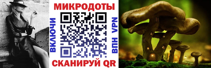 Псилоцибиновые грибы мухоморы  наркошоп  Новочебоксарск 